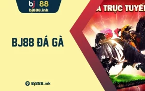 BJ88 Đá Gà - Hướng Dẫn Và Kinh Nghiệm Cá Cược Hiệu Quả