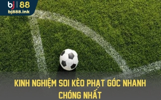 Những kinh nghiệm cần nắm bắt khi đặt cược