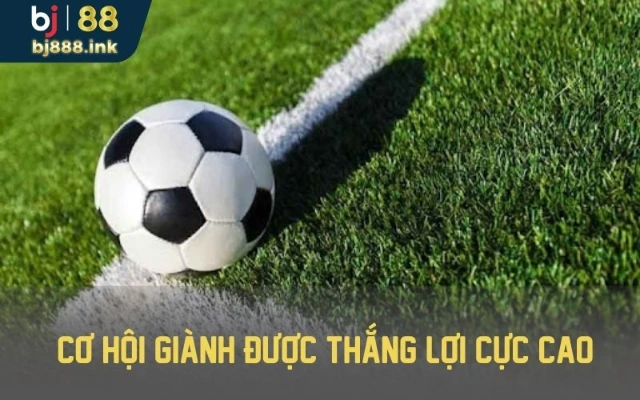 Hình thức đặt cược mang tỉ lệ thắng lợi cao