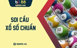 Cách Soi Cầu Xổ Số Chuẩn - Thủ Thuật Và Mẹo Không Thể Bỏ Qua