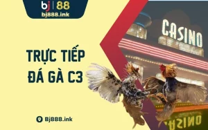 Trực tiếp đá gà C3