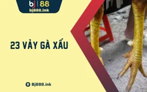 23 Vảy Gà Xấu - Đặc Điểm Cần Biết Khi Lựa Chọn Chiến Kê 