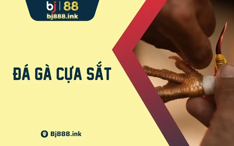 Cẩm Nang Đá Gà Cựa Sắt Và Kinh Nghiệm Từ Sư Kê BJ888