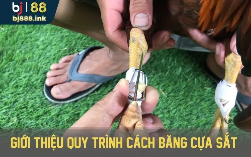 Giới thiệu quy trình cách băng cựa sắt cụ thể, hiệu quả.