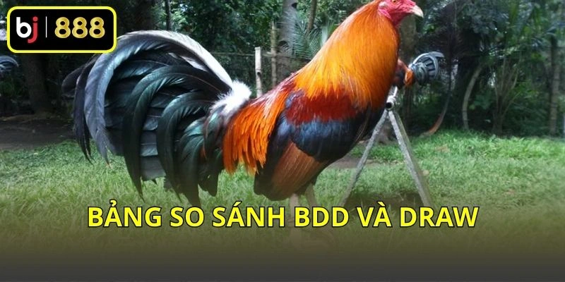 Bảng so sánh BDD và Draw