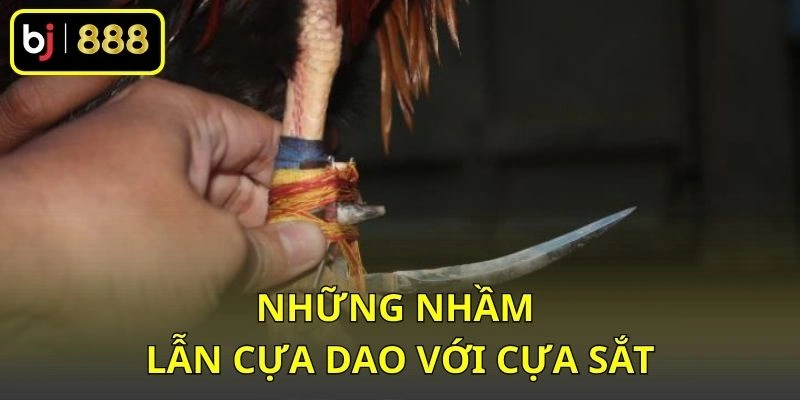 Những nhầm lẫn cựa dao với cựa sắt