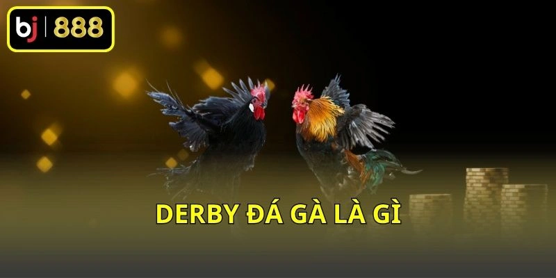 Derby đá gà là gì
