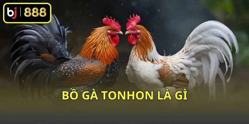 Bồ gà Tonhon là gì