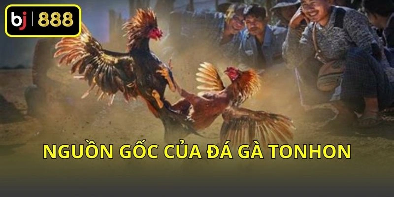 Nguồn gốc của đá gà Ton Hon