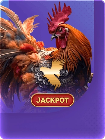 bj888-poker-cung-cap-jackpot