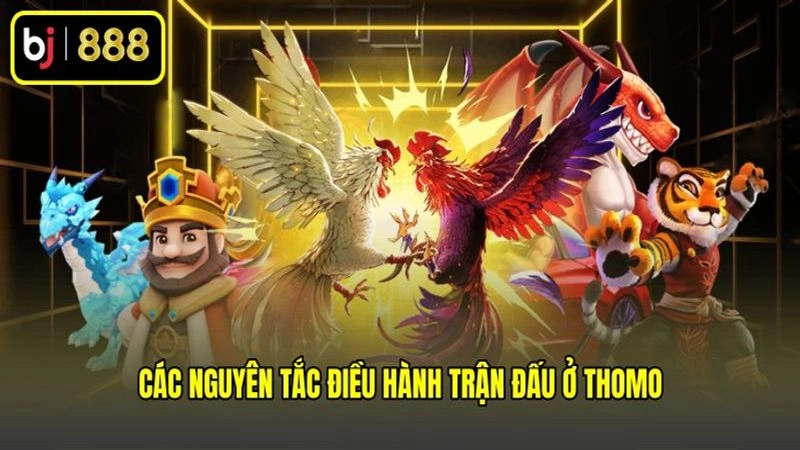 Các nguyên tắc điều hành trận đấu ở Thomo