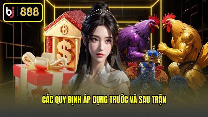 Các quy định áp dụng trước và sau trận