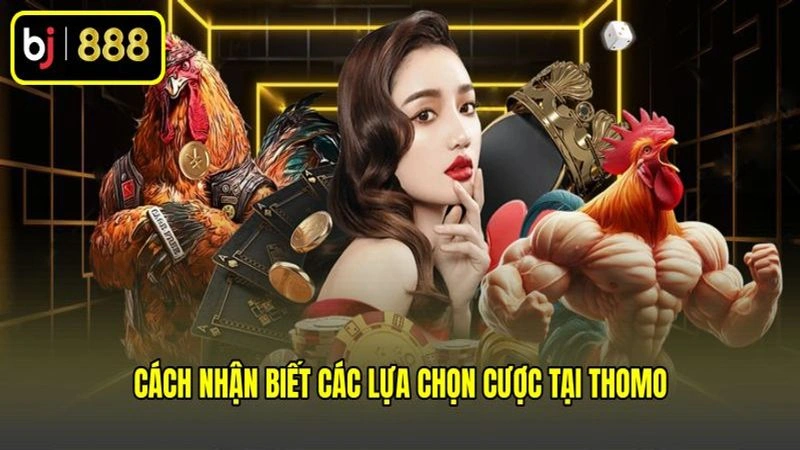 Cách nhận biết các lựa chọn cược tại Thomo
