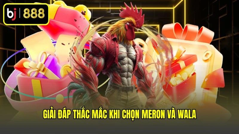 Giải đáp thắc mắc khi chọn Meron và Wala
