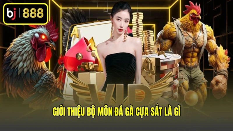 Giới thiệu bộ môn đá gà cựa sắt là gì