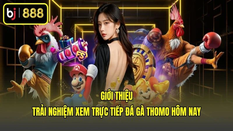 Giới thiệu trải nghiệm xem trực tiếp đá gà Thomo hôm nay