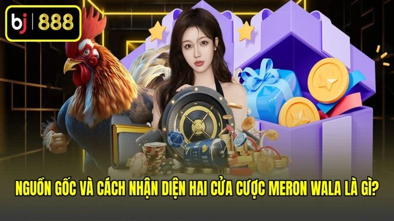 Nguồn gốc và cách nhận diện hai cửa cược Meron Wala là gì?
