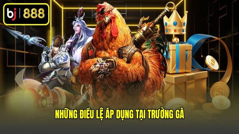 Những điều lệ áp dụng tại trường gà