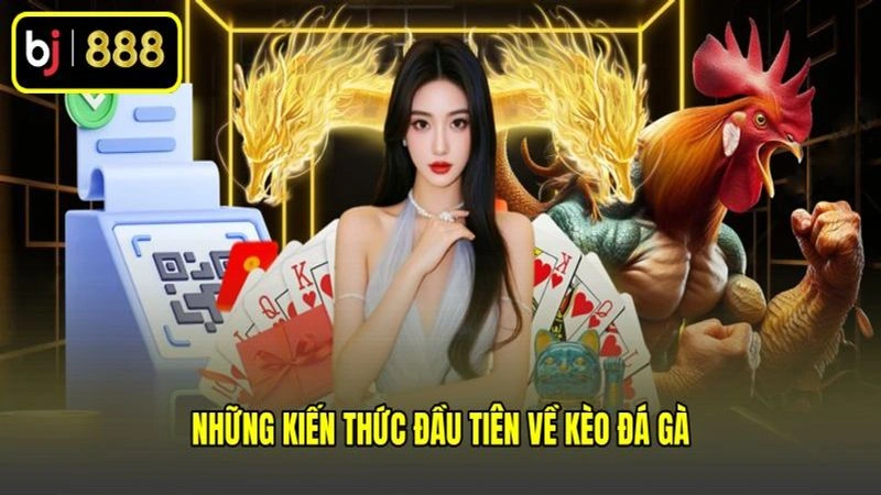 Những kiến thức đầu tiên về kèo đá gà