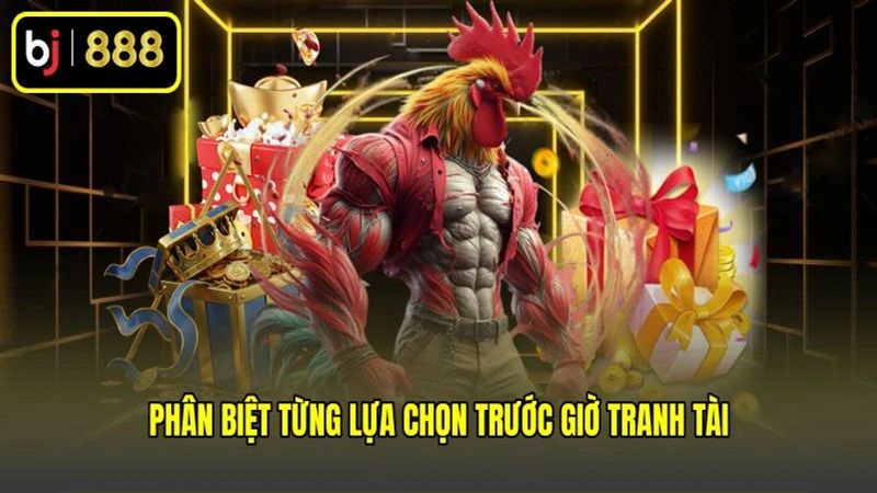 Phân biệt từng lựa chọn trước giờ tranh tài